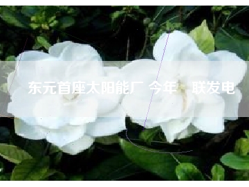 東元首座太陽能廠 今年併聯發電