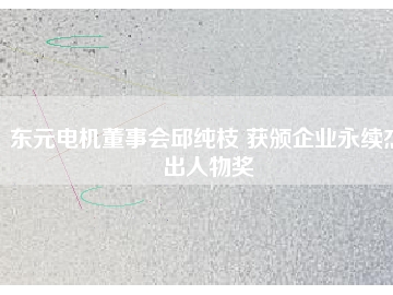 東元電機董事會邱純枝 獲頒企業永續杰出人物獎