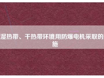 濕熱帶、干熱帶環境用防爆電機采取的措施