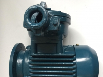 隔爆型防爆電機的結構特點