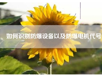 如何識別防爆設備以及防爆電機代號