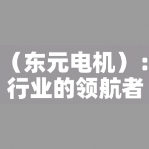 TECO（東元電機）：電機行業的領航者