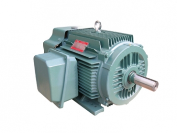 NEP系列超高效率三相異步電動機