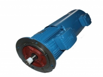 WEG萬高-變頻電機