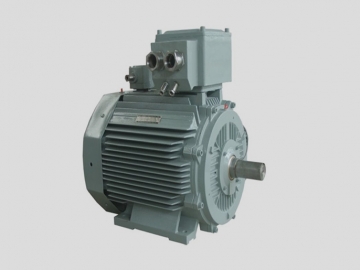 低壓超高效IE5三相異步電動機