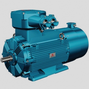 低壓變頻調速三相異步電動機