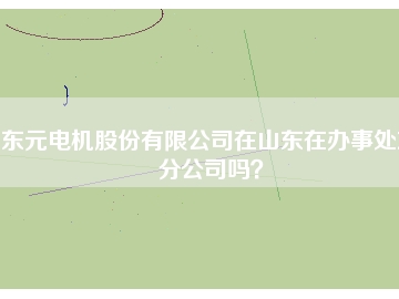 東元電機股份有限公司在山東在辦事處或分公司嗎？