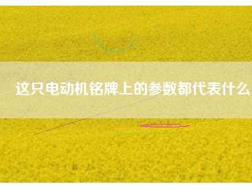 這只電動機銘牌上的參數都代表什么