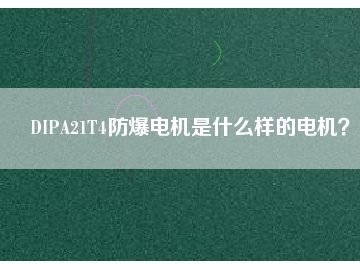 DIPA21T4防爆電機是什么樣的電機？