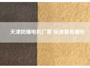 天津防爆電機廠家 標準都有哪些