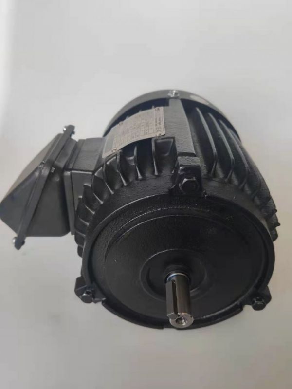 永磁電機 DVEX  55KW  3000RPM  F#180L IE4效率電機