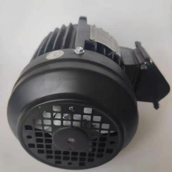 永磁電機 DVEX  55KW  3000RPM  F#180L IE4效率電機