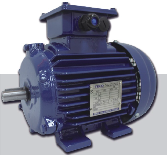 AEEV3N超高效三相異步電機(MODEL:TEV3)