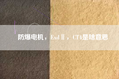 防爆電機(jī)，ExdⅡ，CT4是啥意思