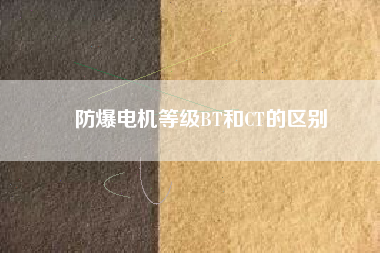 防爆電機等級BT和CT的區別 防爆電機等級BT和CT的區別