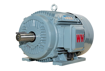 TYCP2系列三相變頻驅(qū)動永磁同步電動機